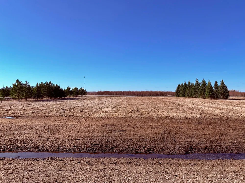 Lot 1 Badger Rd NW Baudette, MN 56623