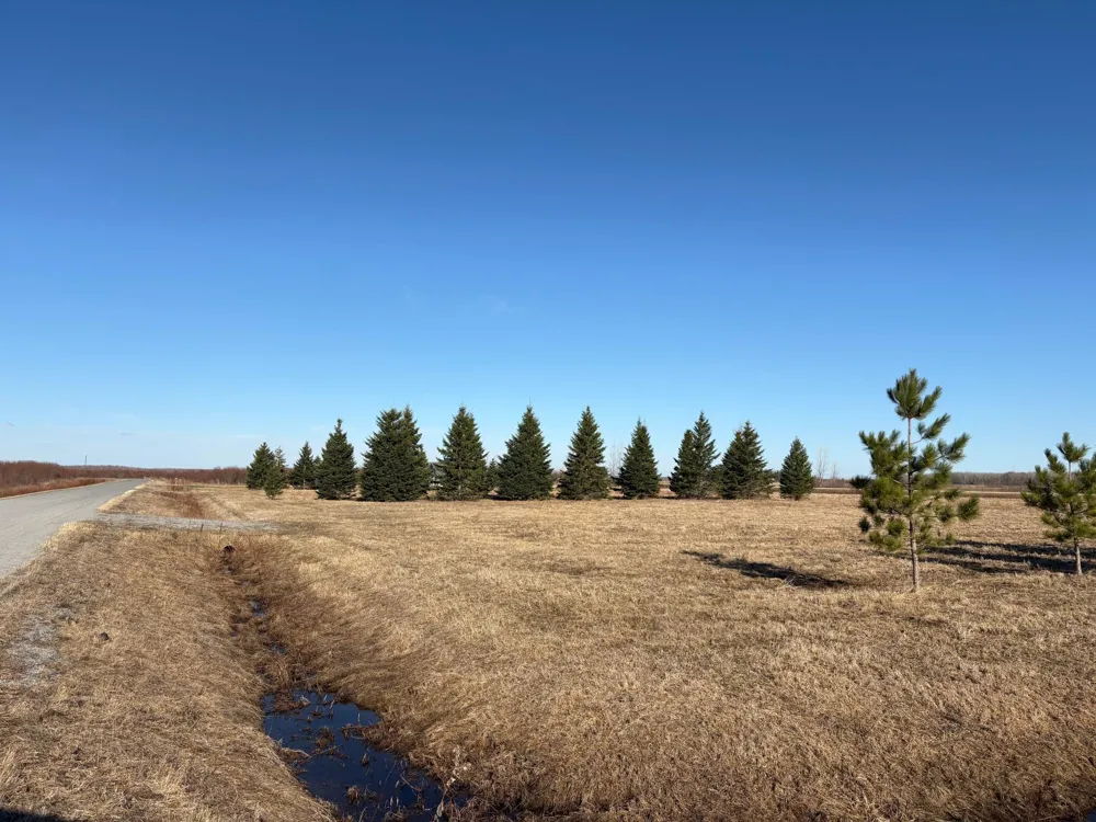 Lot 1 Badger Rd NW Baudette, MN 56623