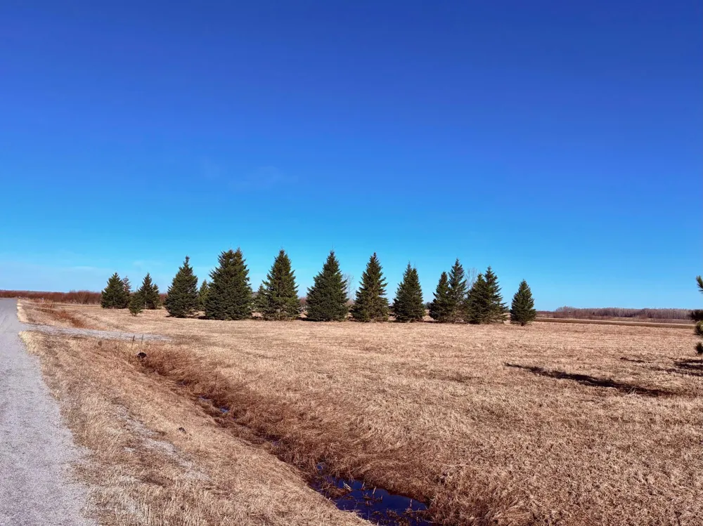 Lot 1 Badger Rd NW Baudette, MN 56623