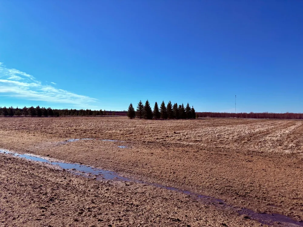 Lot 1 Badger Rd NW Baudette, MN 56623
