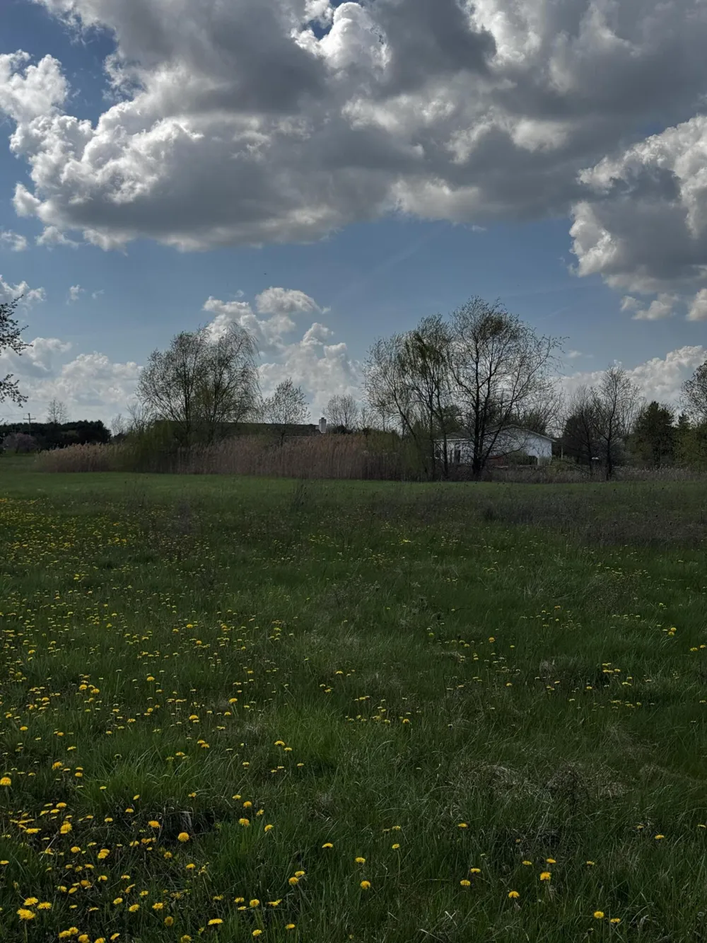 9871 Crane Road Milan, MI 48160