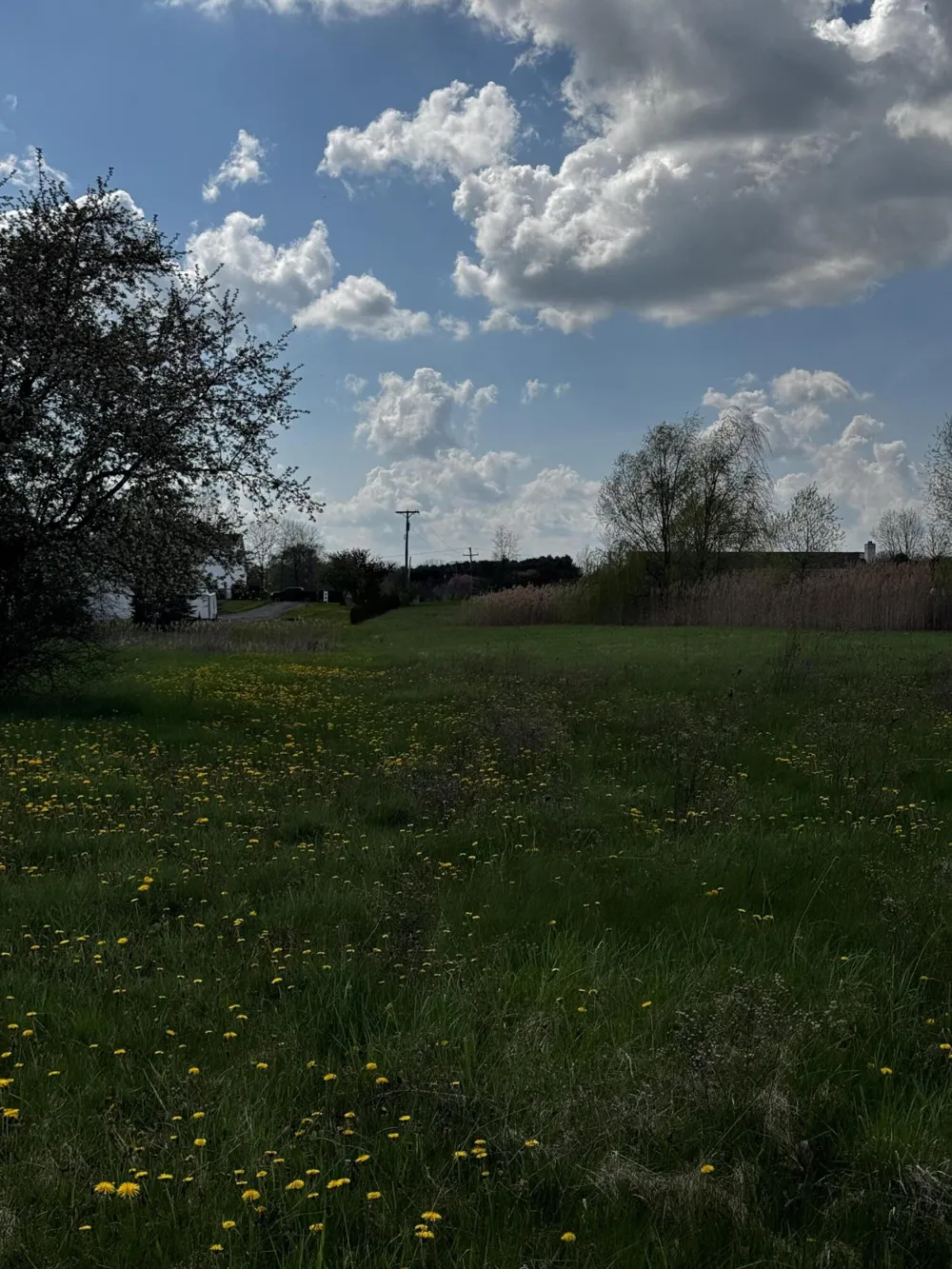 9871 Crane Road Milan, MI 48160