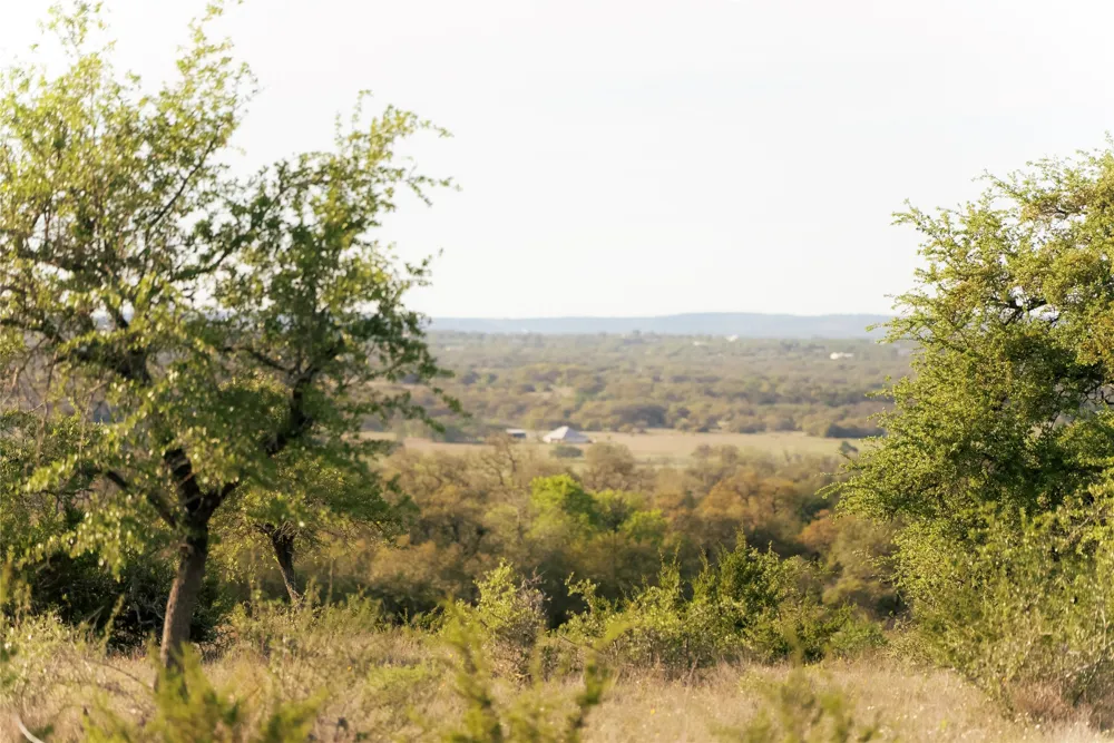 157 Chick Ranch Loop Blanco, TX 78606