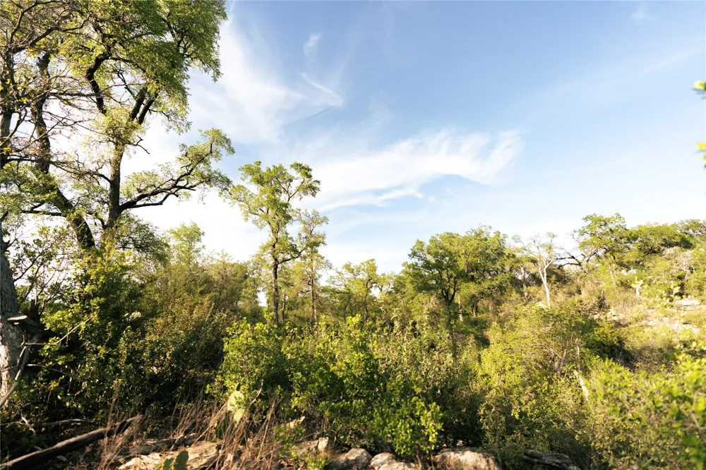 157 Chick Ranch Loop Blanco, TX 78606