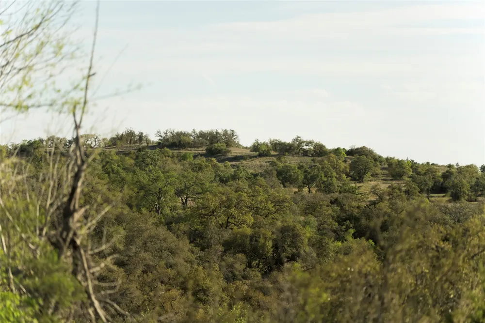 157 Chick Ranch Loop Blanco, TX 78606