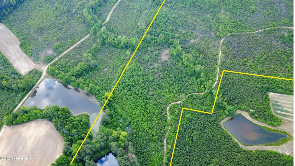 5570 Lancaster Store Road Spring Hope, NC 27882