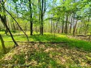 TBD Piney Lane