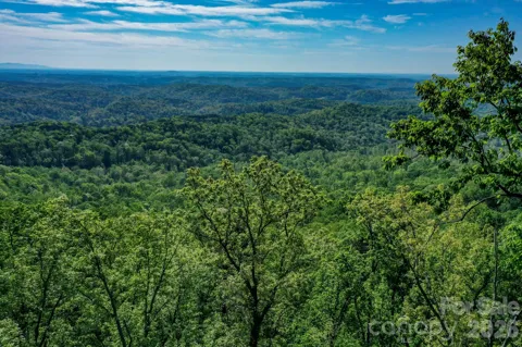 0 Bills Mountain Trail #402