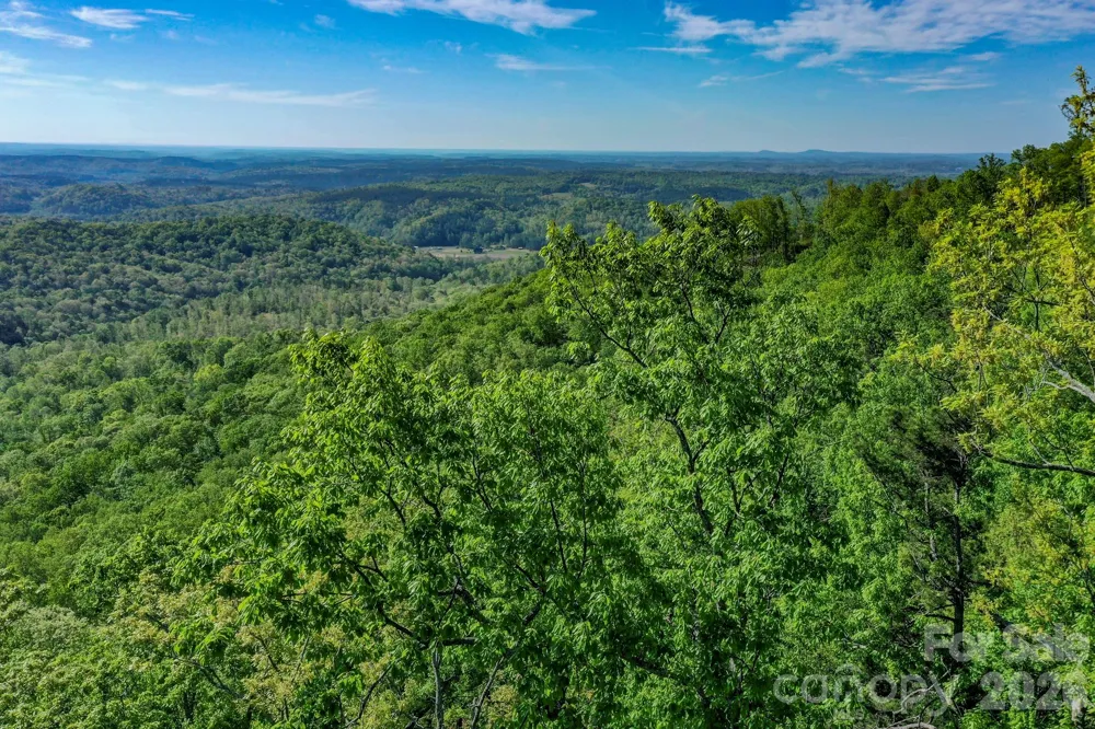 0 Bills Mountain Trail #402 Lake Lure, NC 28746