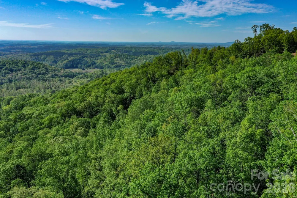 0 Bills Mountain Trail #402 Lake Lure, NC 28746