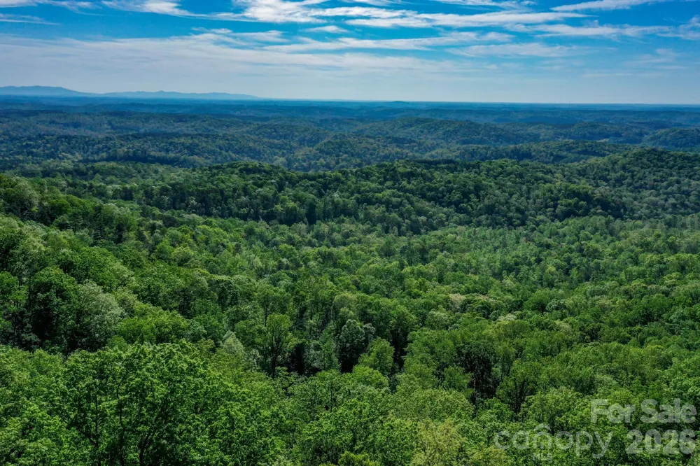 0 Bills Mountain Trail #402 Lake Lure, NC 28746