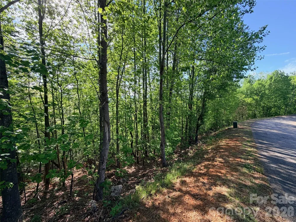 0 Bills Mountain Trail #402 Lake Lure, NC 28746