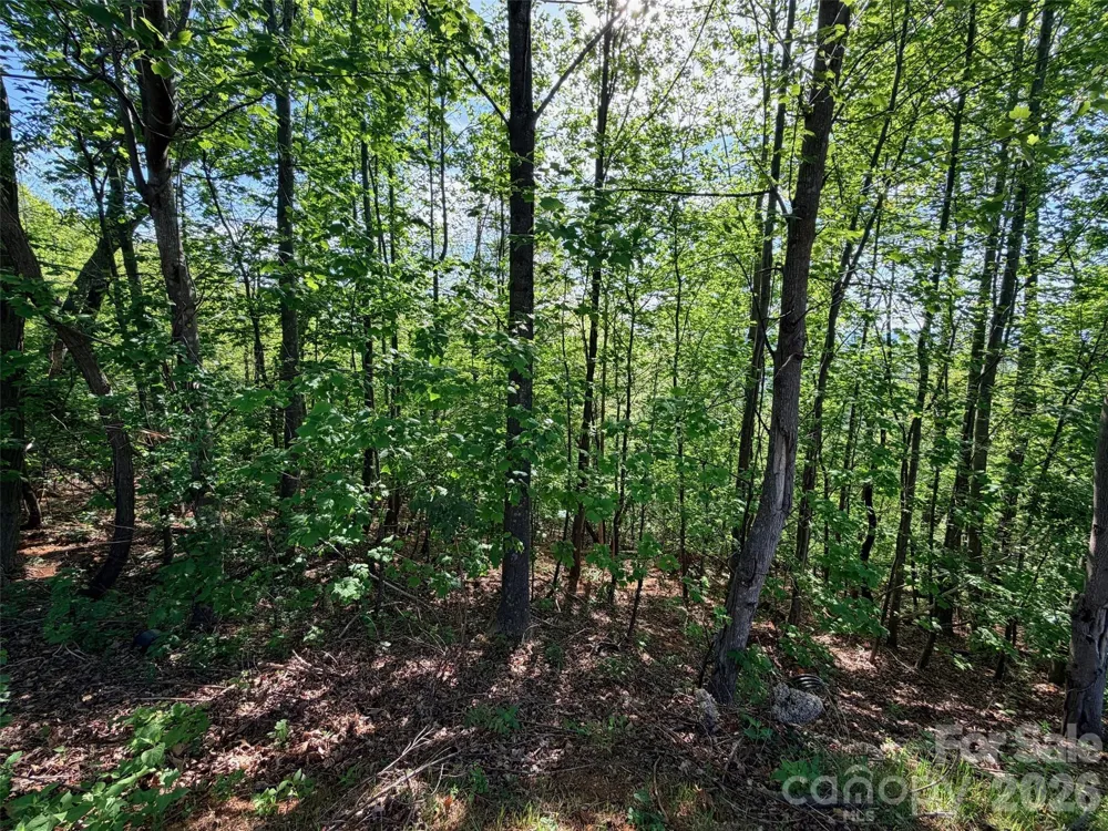 0 Bills Mountain Trail #402 Lake Lure, NC 28746