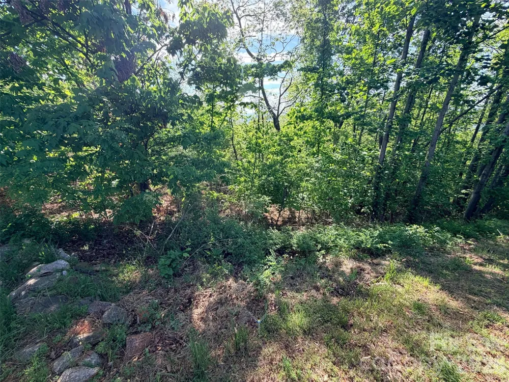 0 Bills Mountain Trail #402 Lake Lure, NC 28746