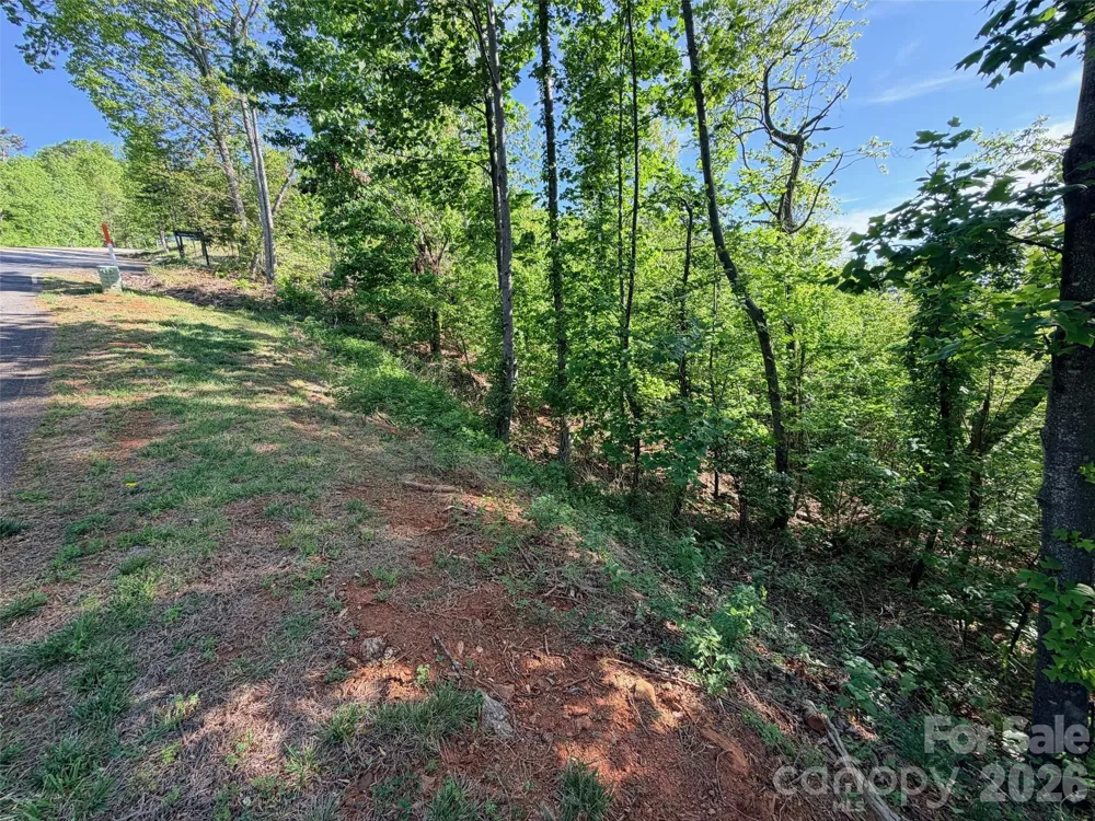 0 Bills Mountain Trail #402 Lake Lure, NC 28746
