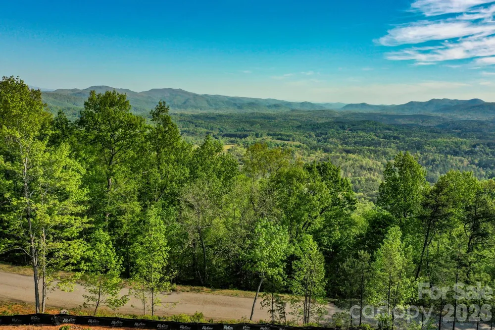 0 Half Moon Mile Lake Lure, NC 28746