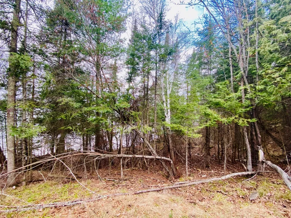 11171 S Engstad Road Solon Springs, WI 54873