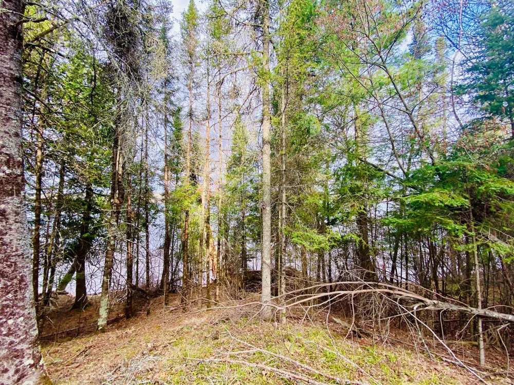 11171 S Engstad Road Solon Springs, WI 54873