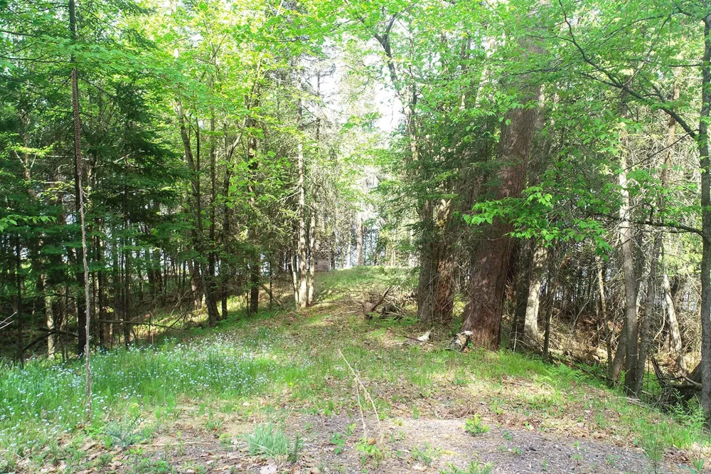 11171 S Engstad Road Solon Springs, WI 54873