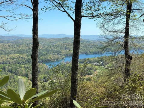 P 2 L020RV Toxaway Cliff #20