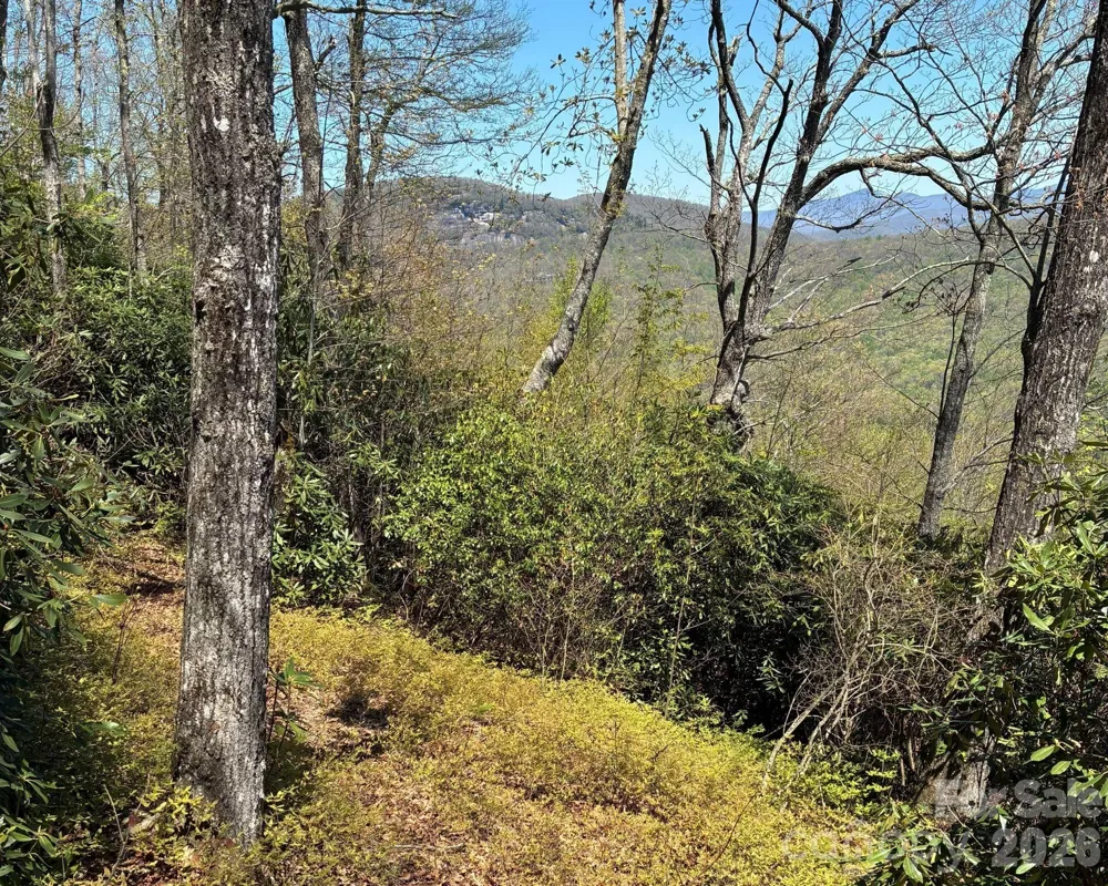 P 2 L020RV Toxaway Cliff #20 Lake Toxaway, NC 28747