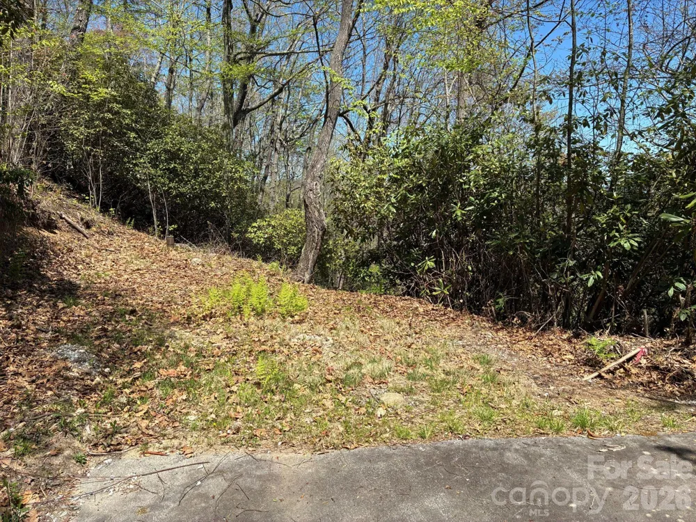 P 2 L020RV Toxaway Cliff #20 Lake Toxaway, NC 28747