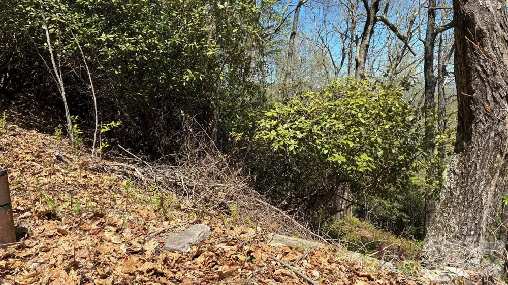P 2 L020RV Toxaway Cliff #20 Lake Toxaway, NC 28747