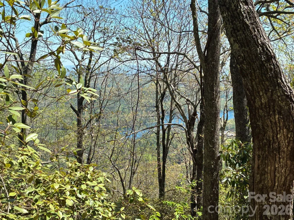 P 2 L020RV Toxaway Cliff #20 Lake Toxaway, NC 28747