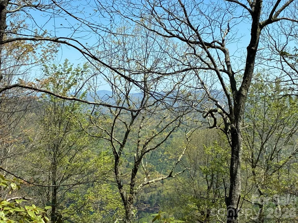 P 2 L020RV Toxaway Cliff #20 Lake Toxaway, NC 28747