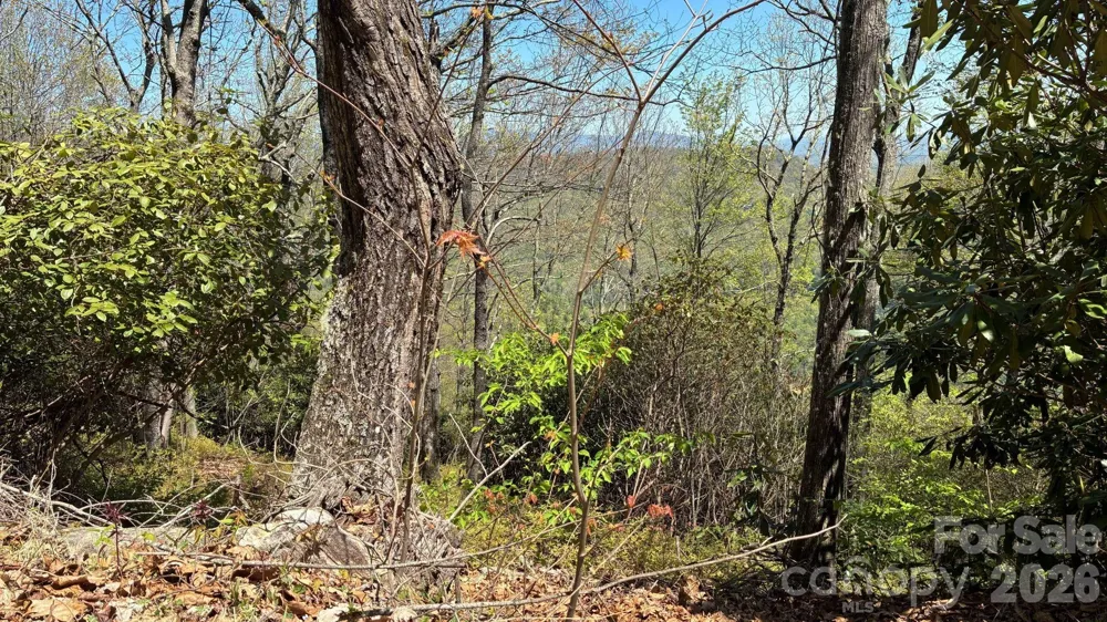P 2 L020RV Toxaway Cliff #20 Lake Toxaway, NC 28747