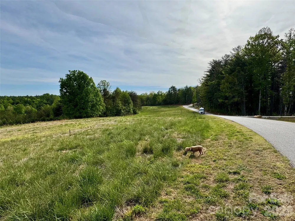 Lot G20, 2085 Thoroughbred Way #G20 Lenoir, NC 28645