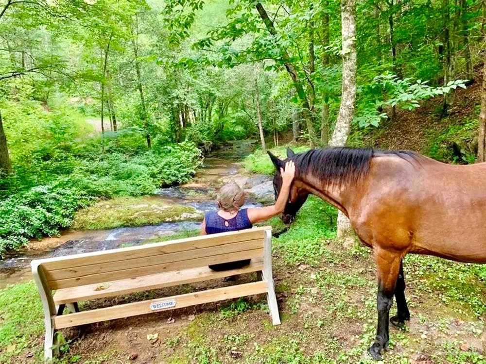 Lot G20, 2085 Thoroughbred Way #G20 Lenoir, NC 28645