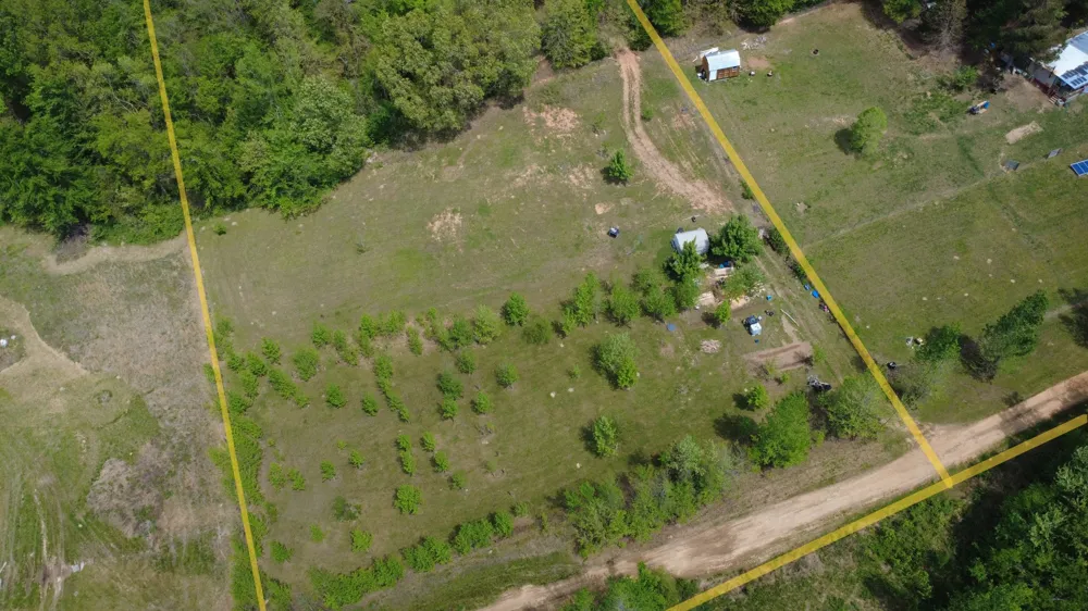490 Early Bird Ln Savannah, TN 38372