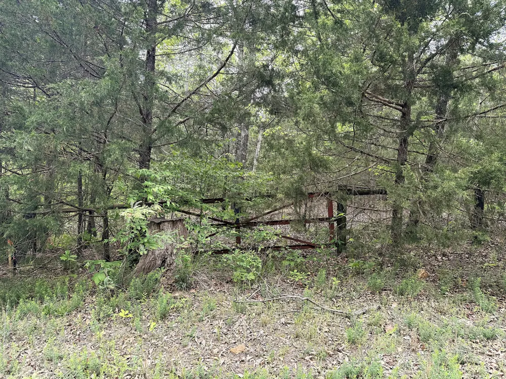 490 Early Bird Ln Savannah, TN 38372