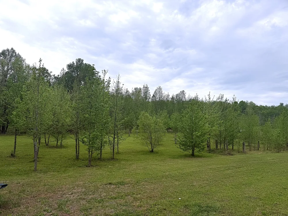 490 Early Bird Ln Savannah, TN 38372