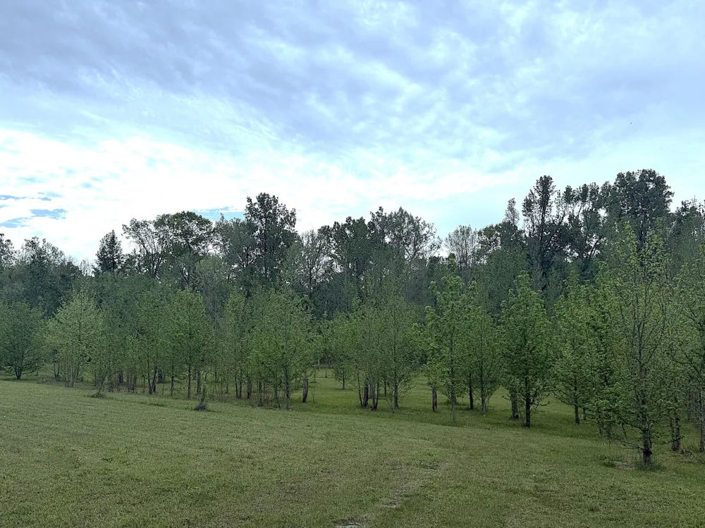 490 Early Bird Ln Savannah, TN 38372