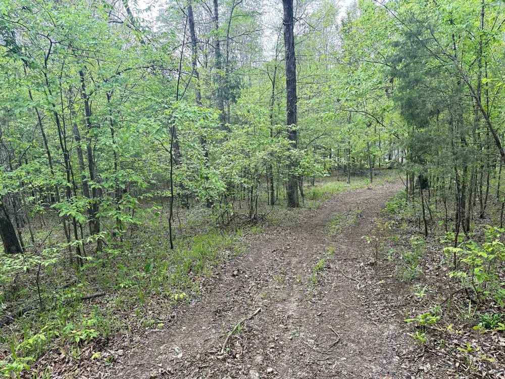 490 Early Bird Ln Savannah, TN 38372