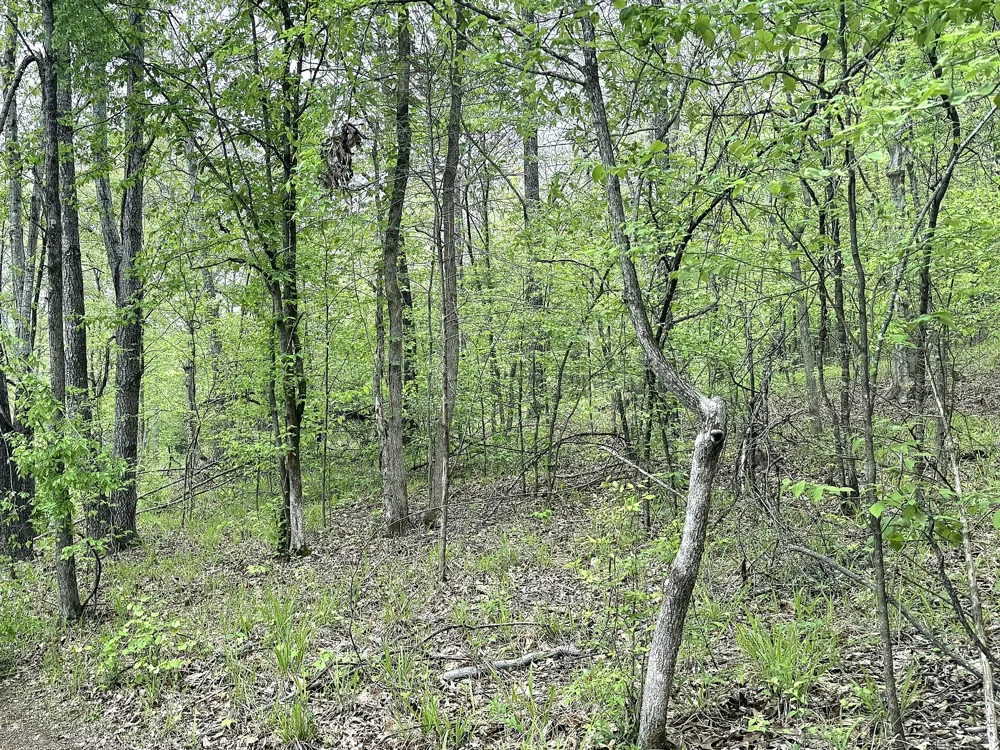 490 Early Bird Ln Savannah, TN 38372