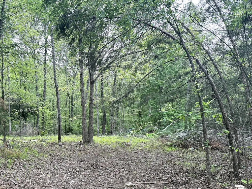 490 Early Bird Ln Savannah, TN 38372