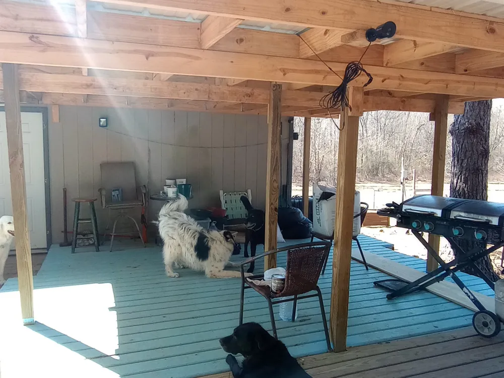 490 Early Bird Ln Savannah, TN 38372