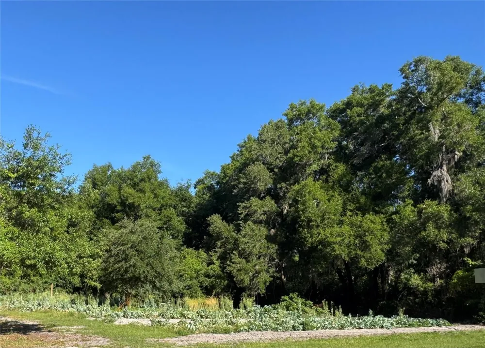 00 COUNTY ROAD 213 Wildwood, FL 34785