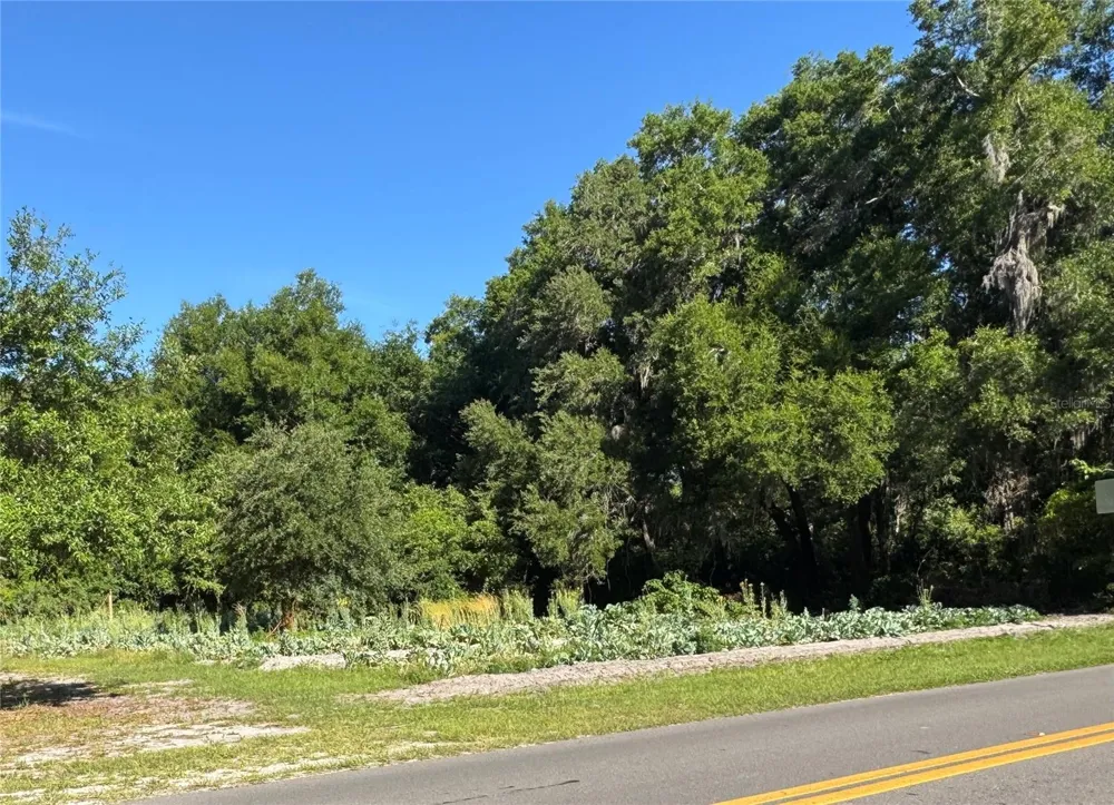 00 COUNTY ROAD 213 Wildwood, FL 34785