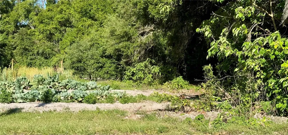 00 COUNTY ROAD 213 Wildwood, FL 34785