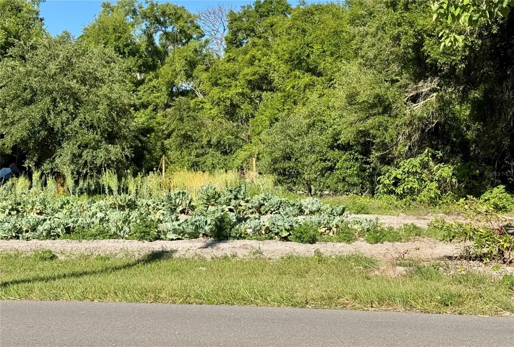 00 COUNTY ROAD 213 Wildwood, FL 34785