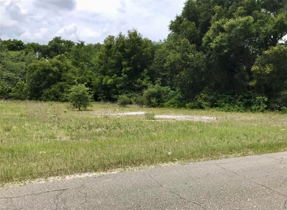 00 COUNTY ROAD 213 Wildwood, FL 34785
