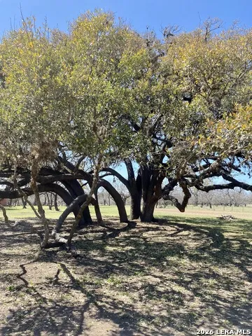 3311 Texas Highway 55 Camp Wood, TX 78833