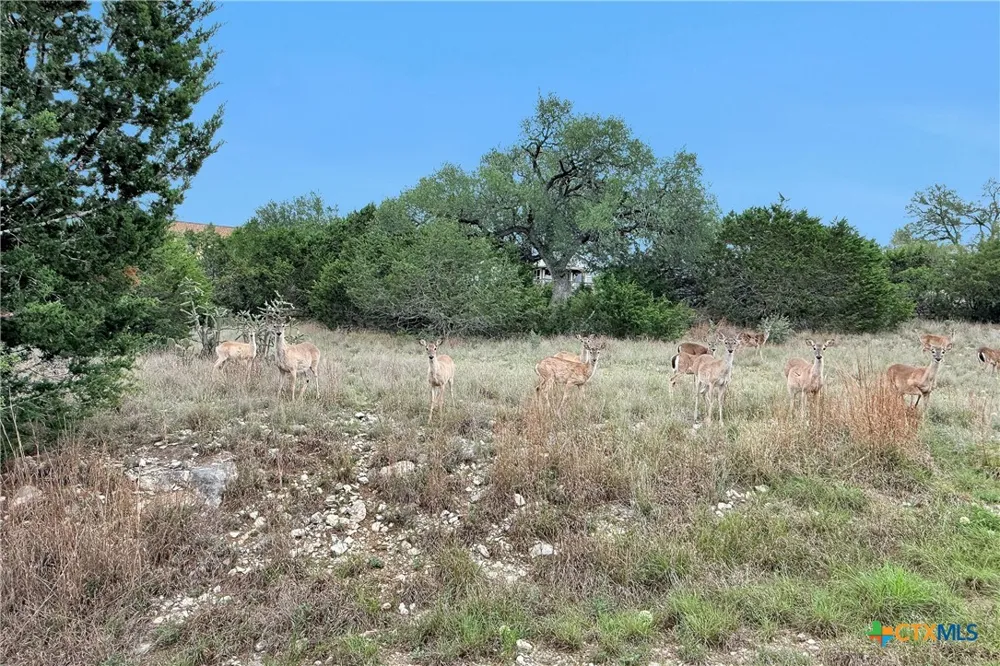 1226 Cougar Drive #15 Canyon Lake, TX 78133