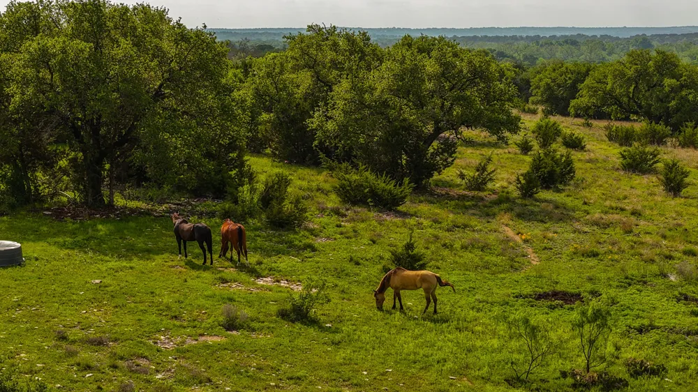 County Road 105 Hamilton, TX 76531