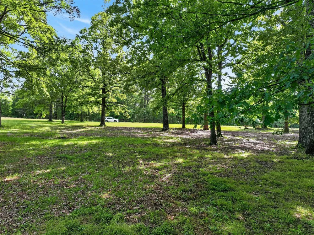 12070 Farm to Market Road 990 Simms, TX 75574