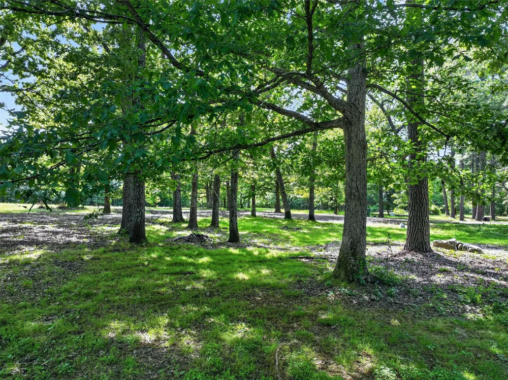 12070 Farm to Market Road 990 Simms, TX 75574